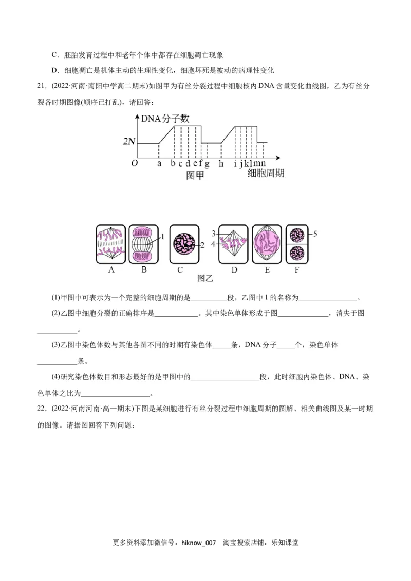 第6章细胞的生命历程（A卷&middot;知识通关练）（原卷版）_E015高中全科试卷_生物试题_必修1_1.单元测试_1.单元测试AB卷（第一套）