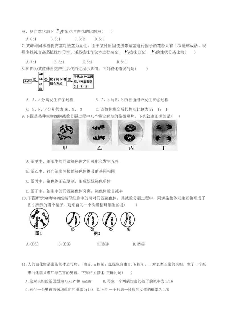 福建省漳州第一中学2024-2025学年高一下学期第一次阶段考试生物学试题（含答案）_2024-2025高一（7-7月题库）_2025年04月试卷