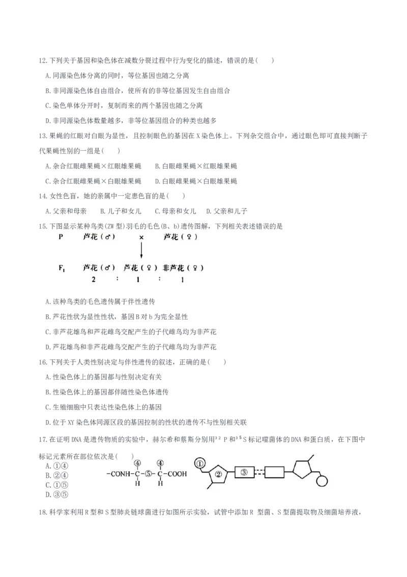 福建省漳州第一中学2024-2025学年高一下学期第一次阶段考试生物学试题（含答案）_2024-2025高一（7-7月题库）_2025年04月试卷