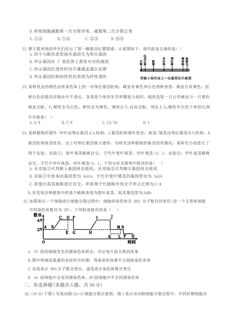 福建省漳州第一中学2024-2025学年高一下学期第一次阶段考试生物学试题（含答案）_2024-2025高一（7-7月题库）_2025年04月试卷