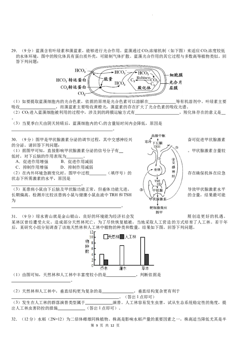 四川省绵阳南山中学2024年高三高考仿真1理综试题_2024年5月_01按日期_28号_2024届四川绵阳南山中学高三高考仿真演练(一)