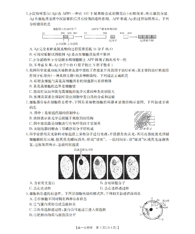 生物学_扫描版_2024-2025高一（7-7月题库）_2026年1月高一_260128四川省多校2025-2026学年高一上学期12月月考（全）