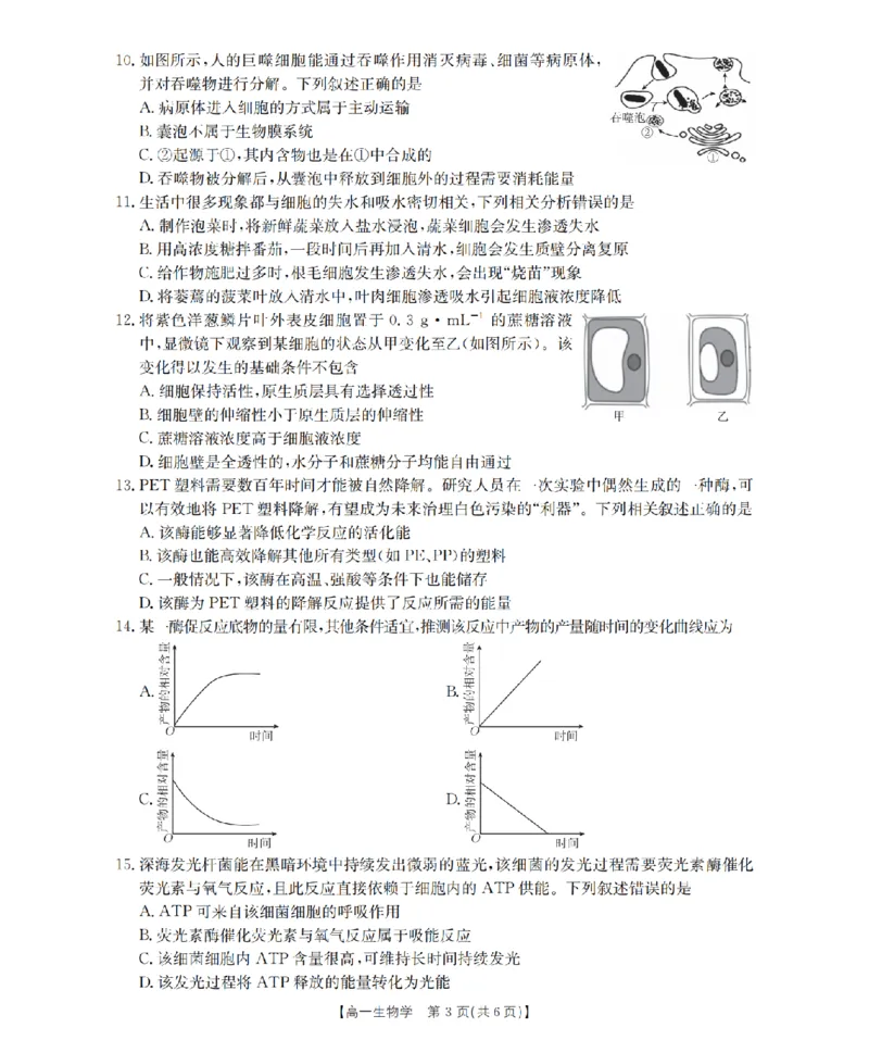 生物学_扫描版_2024-2025高一（7-7月题库）_2026年1月高一_260128四川省多校2025-2026学年高一上学期12月月考（全）