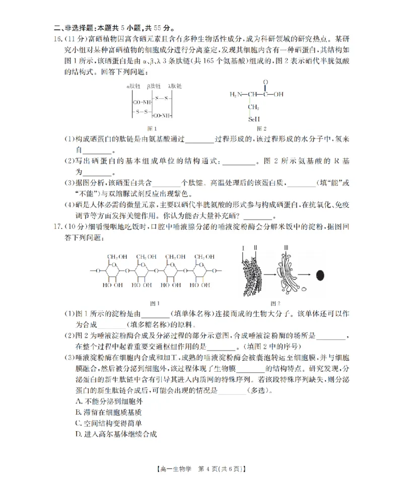 生物学_扫描版_2024-2025高一（7-7月题库）_2026年1月高一_260128四川省多校2025-2026学年高一上学期12月月考（全）