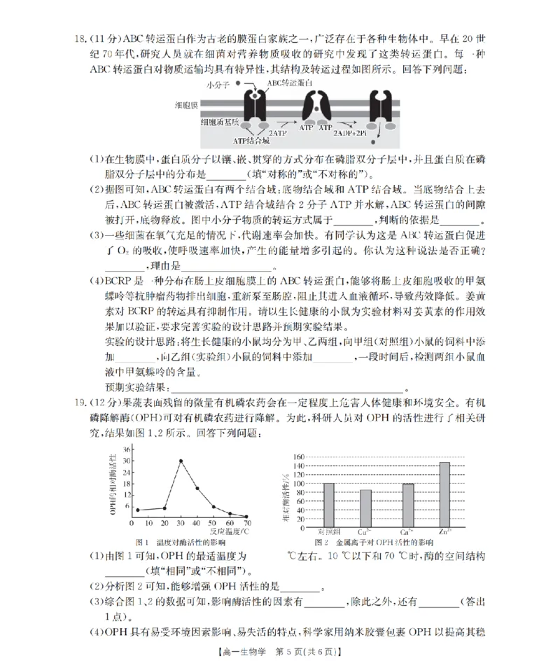 生物学_扫描版_2024-2025高一（7-7月题库）_2026年1月高一_260128四川省多校2025-2026学年高一上学期12月月考（全）
