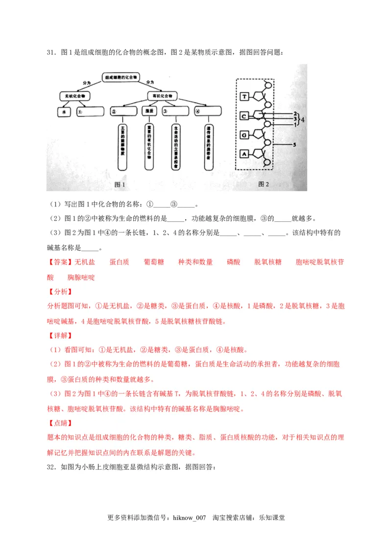高一生物上学期期末测试卷02（人教版必修1）（解析版）_E015高中全科试卷_生物试题_必修1_4.期末试卷_1.模拟题_高一生物上学期期末测试卷02（人教版必修1）