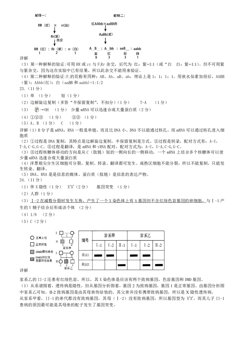 详解答案生物学高一2023―2024学年度下学期高一年级期末联考_2024-2025高一（7-7月题库）_2024年7月试卷_0727辽宁省部分高中2023-2024学年高一下学期期末点石联考