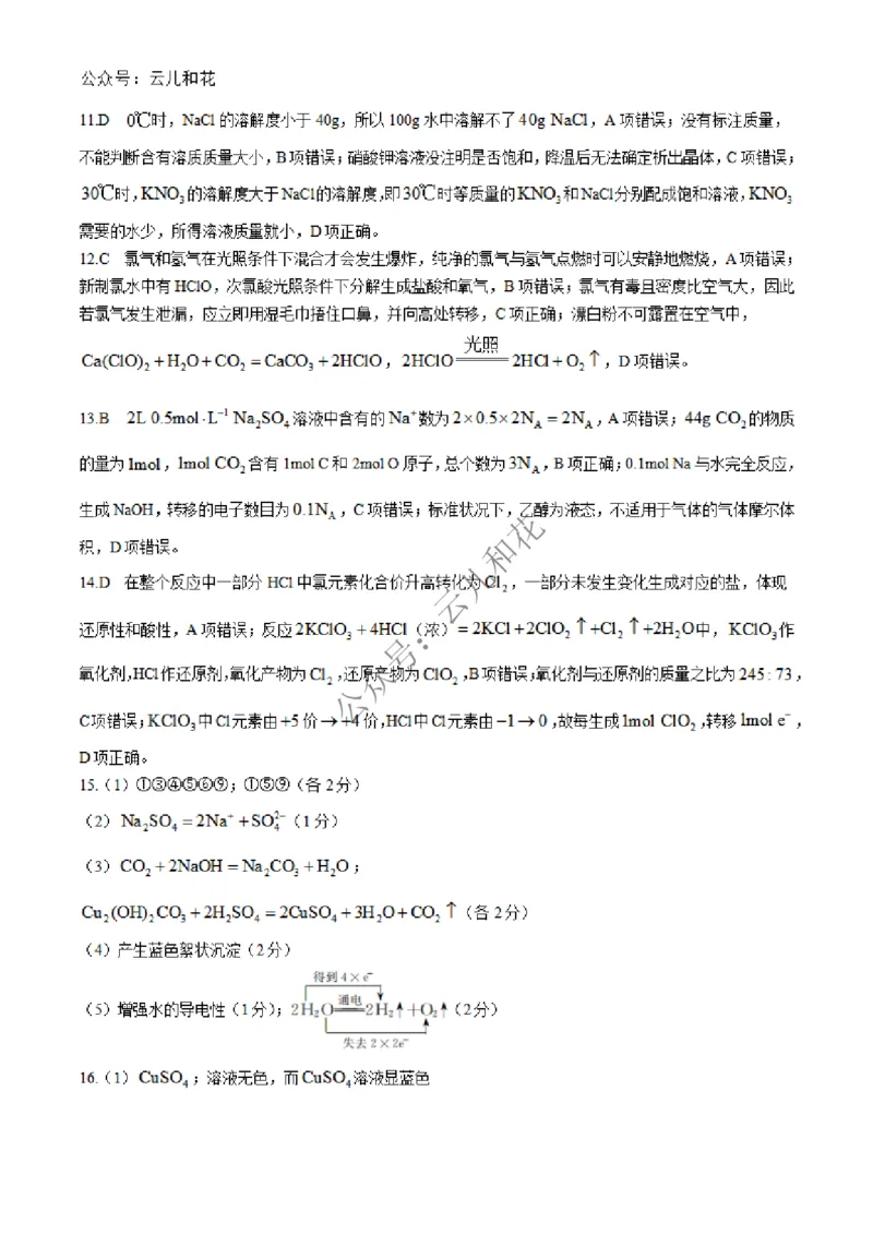 河北省沧州四县联考2024-2025学年高一上学期11月月考试题化学Word版含解析_2024-2025高一（7-7月题库）_2024年12月试卷_1227河北省沧州四县联考2024-2025学年高一上学期11月月考