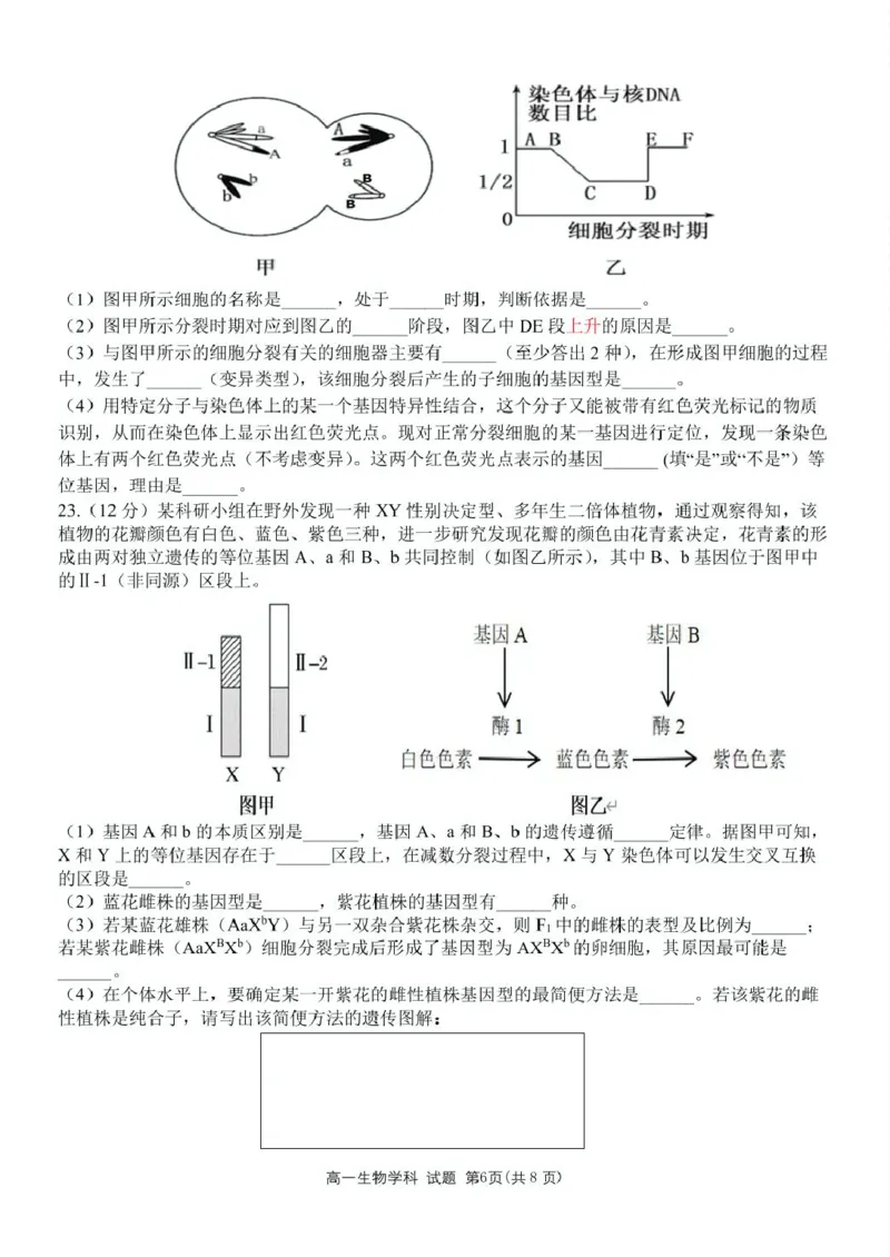 浙江省衢州市五校联盟2024-2025学年高一下学期期中生物试卷（扫描版有答案）_2024-2025高一（7-7月题库）_2025年05月试卷_0511浙江省衢州市五校联盟2024-2025学年高一下学期期中考试