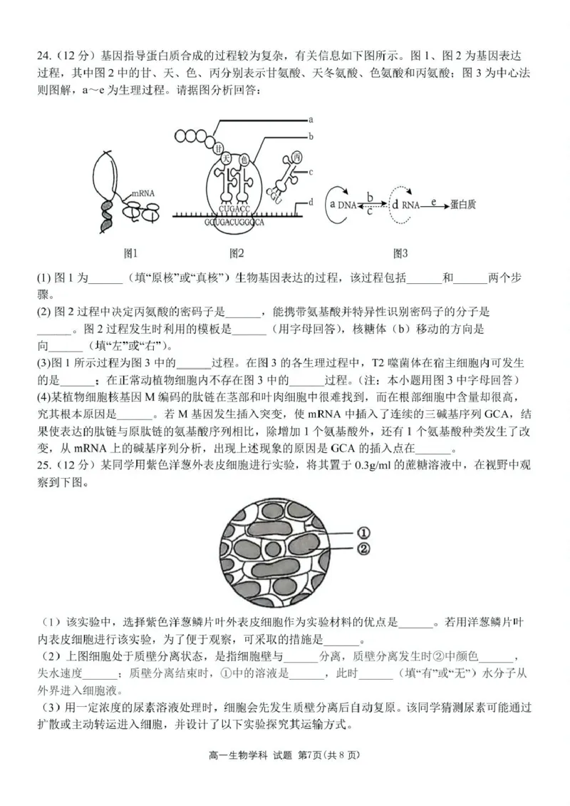 浙江省衢州市五校联盟2024-2025学年高一下学期期中生物试卷（扫描版有答案）_2024-2025高一（7-7月题库）_2025年05月试卷_0511浙江省衢州市五校联盟2024-2025学年高一下学期期中考试