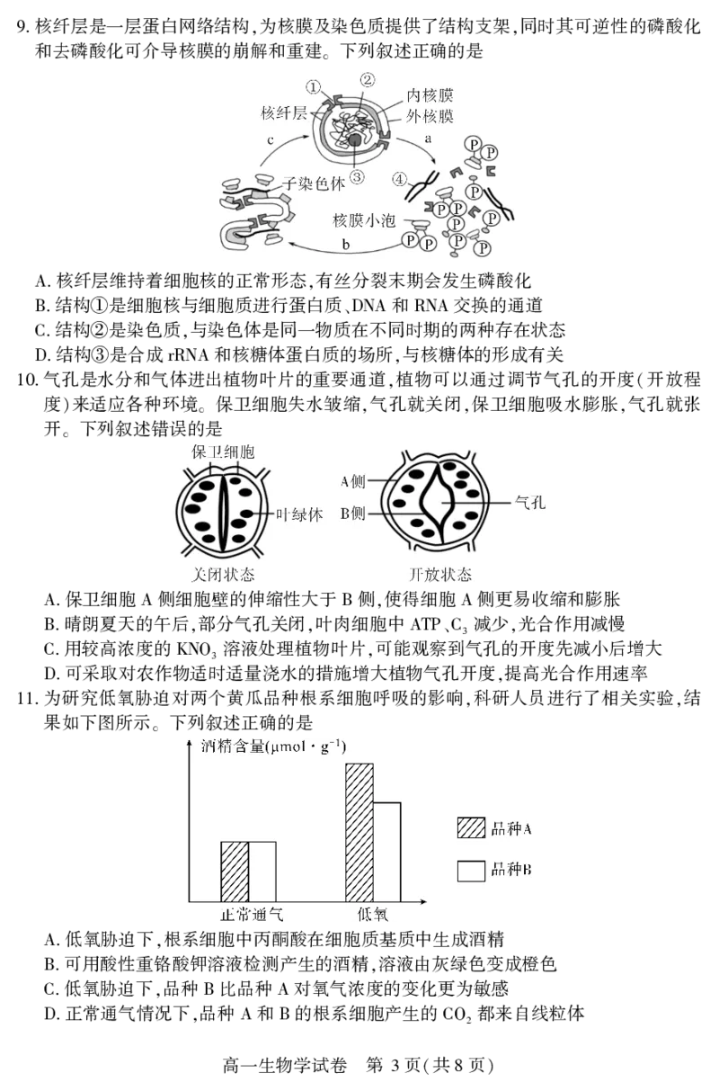 高一生物学_2024-2025高一（7-7月题库）_2025年7月_250716湖北省天门市2024-2025年7月高一期末统一调研测试