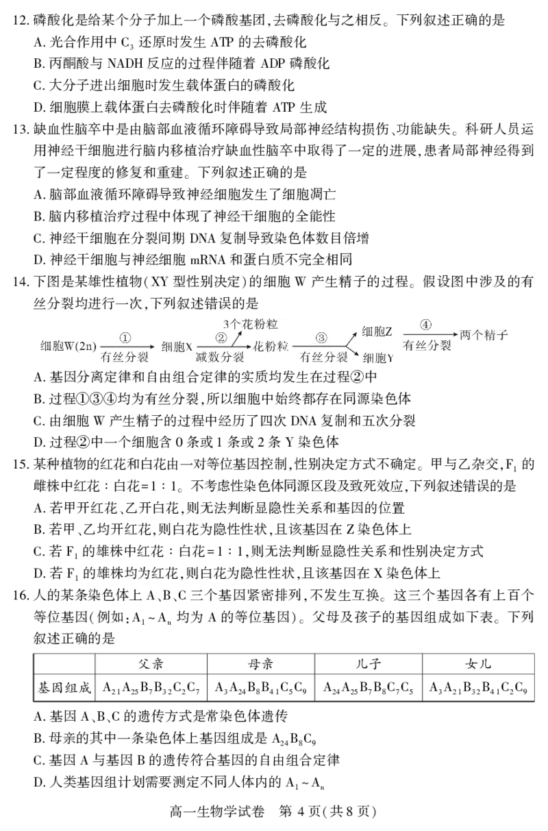 高一生物学_2024-2025高一（7-7月题库）_2025年7月_250716湖北省天门市2024-2025年7月高一期末统一调研测试