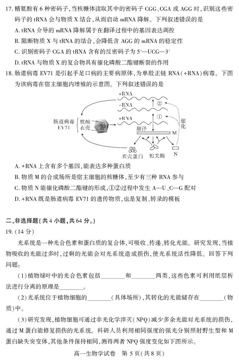 高一生物学_2024-2025高一（7-7月题库）_2025年7月_250716湖北省天门市2024-2025年7月高一期末统一调研测试