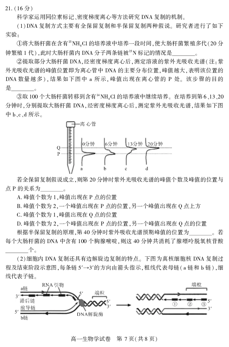 高一生物学_2024-2025高一（7-7月题库）_2025年7月_250716湖北省天门市2024-2025年7月高一期末统一调研测试