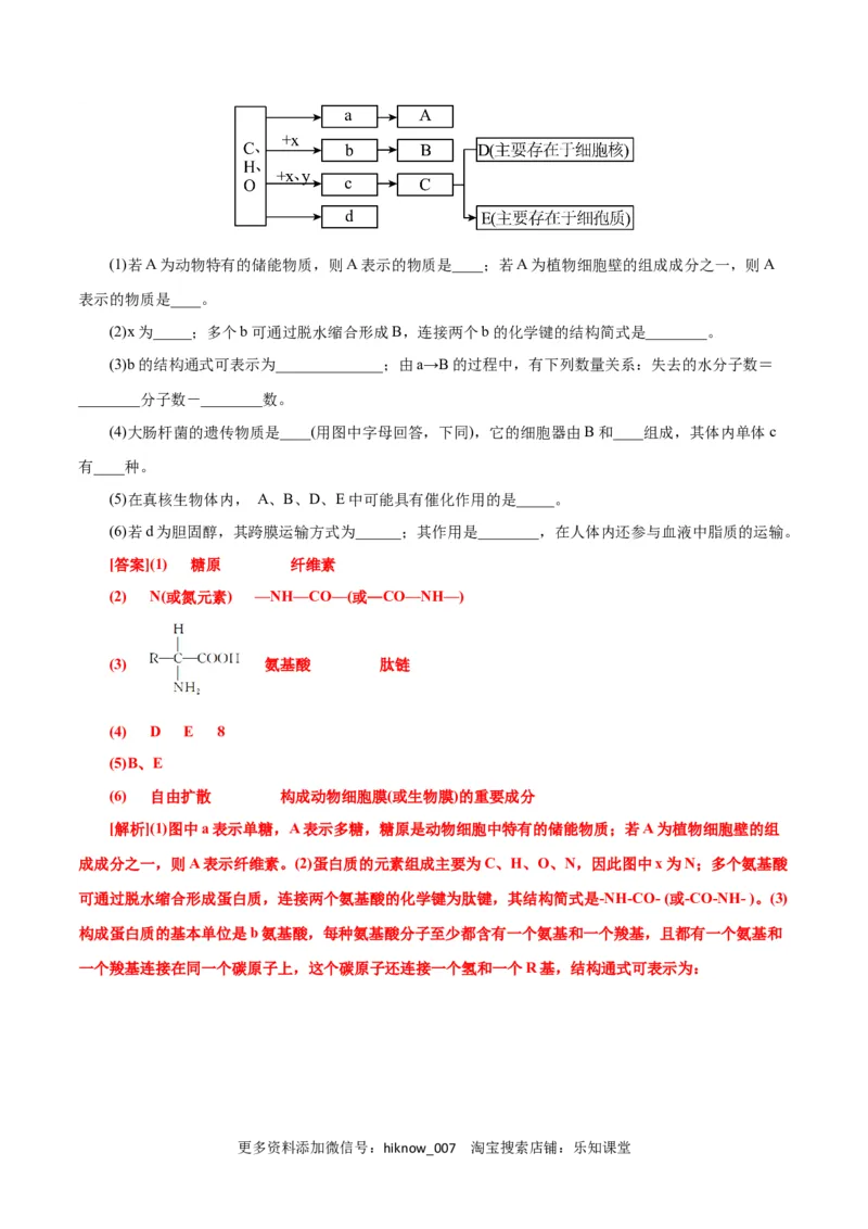 第2章组成细胞的分子（A卷&middot;知识通关练）（解析版）_E015高中全科试卷_生物试题_必修1_1.单元测试_1.单元测试AB卷（第一套）
