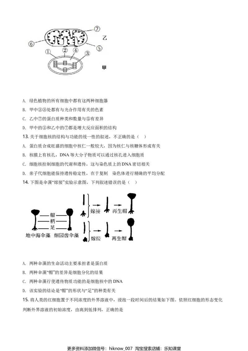 精品解析：辽宁省大连市高一上学期期末生物学试题（原卷版）_E015高中全科试卷_生物试题_必修1_4.期末试卷_2.各地真题_精品解析：辽宁省大连市高一上学期期末生物学试题