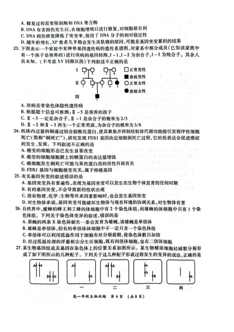 河南省南阳市六校2024-2025学年高一下学期第二次联考生物试卷（图片版，有解析）_2024-2025高一（7-7月题库）_2025年6月7.10新增