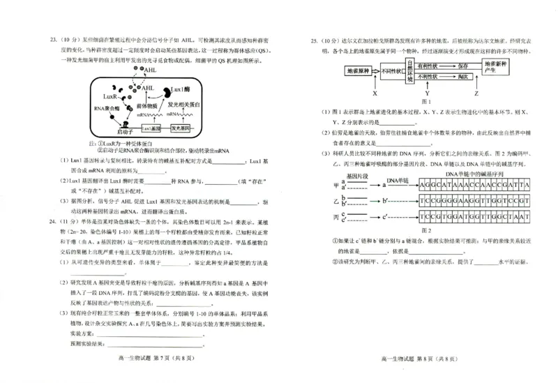 高一生物A_2024-2025高一（7-7月题库）_2024年8月试卷_0806山东省菏泽市2023-2024学年高一下学期7月期末