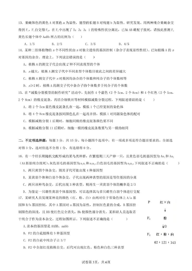 辽宁省实验中学2024-2025学年高一下学期4月阶段测试生物学试题（PDF版含答案）_2024-2025高一（7-7月题库）_2025年04月试卷_0410辽宁省实验中学2024-2025学年高一下学期4月月考