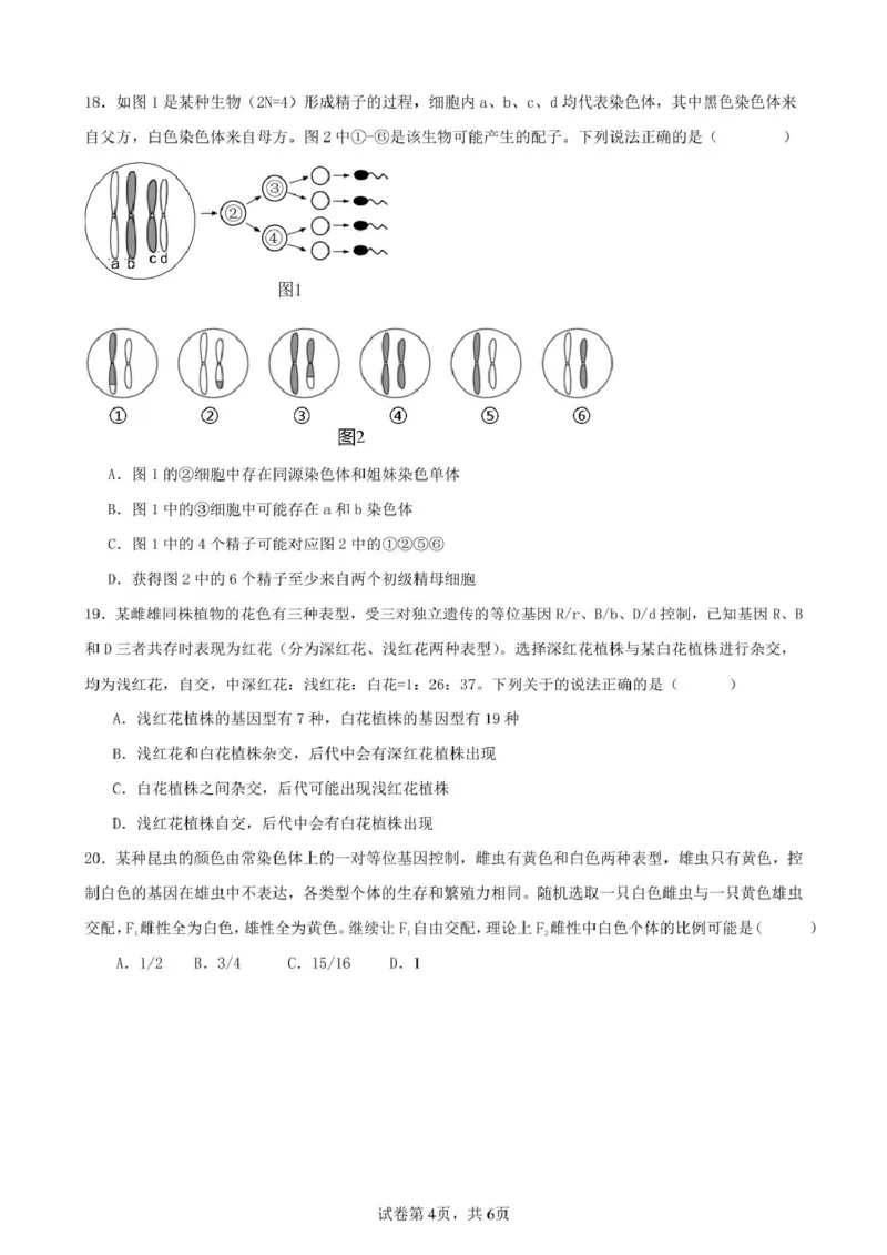 辽宁省实验中学2024-2025学年高一下学期4月阶段测试生物学试题（PDF版含答案）_2024-2025高一（7-7月题库）_2025年04月试卷_0410辽宁省实验中学2024-2025学年高一下学期4月月考