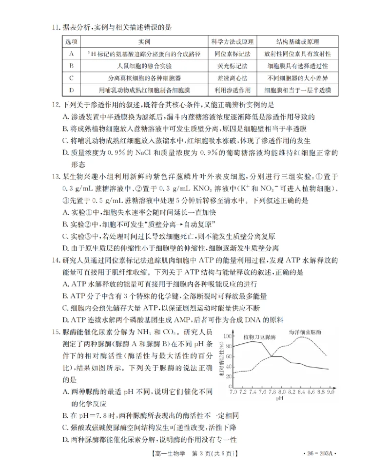 生物_扫描版_2024-2025高一（7-7月题库）_2026年1月高一_260127金太阳&middot;贵州省2025-2026学年高一上学期十二月县中联盟自主命题考试卷（全）