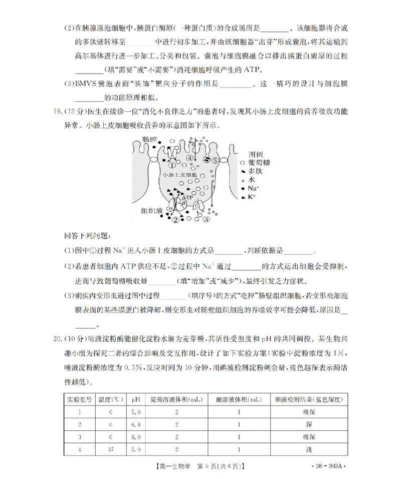 生物_扫描版_2024-2025高一（7-7月题库）_2026年1月高一_260127金太阳&middot;贵州省2025-2026学年高一上学期十二月县中联盟自主命题考试卷（全）