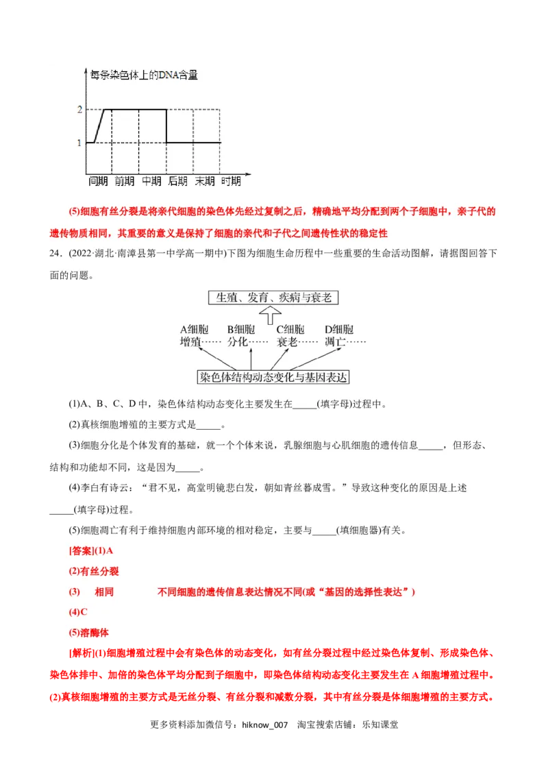 第6章细胞的生命历程（A卷&middot;知识通关练）（解析版）_E015高中全科试卷_生物试题_必修1_1.单元测试_1.单元测试AB卷（第一套）