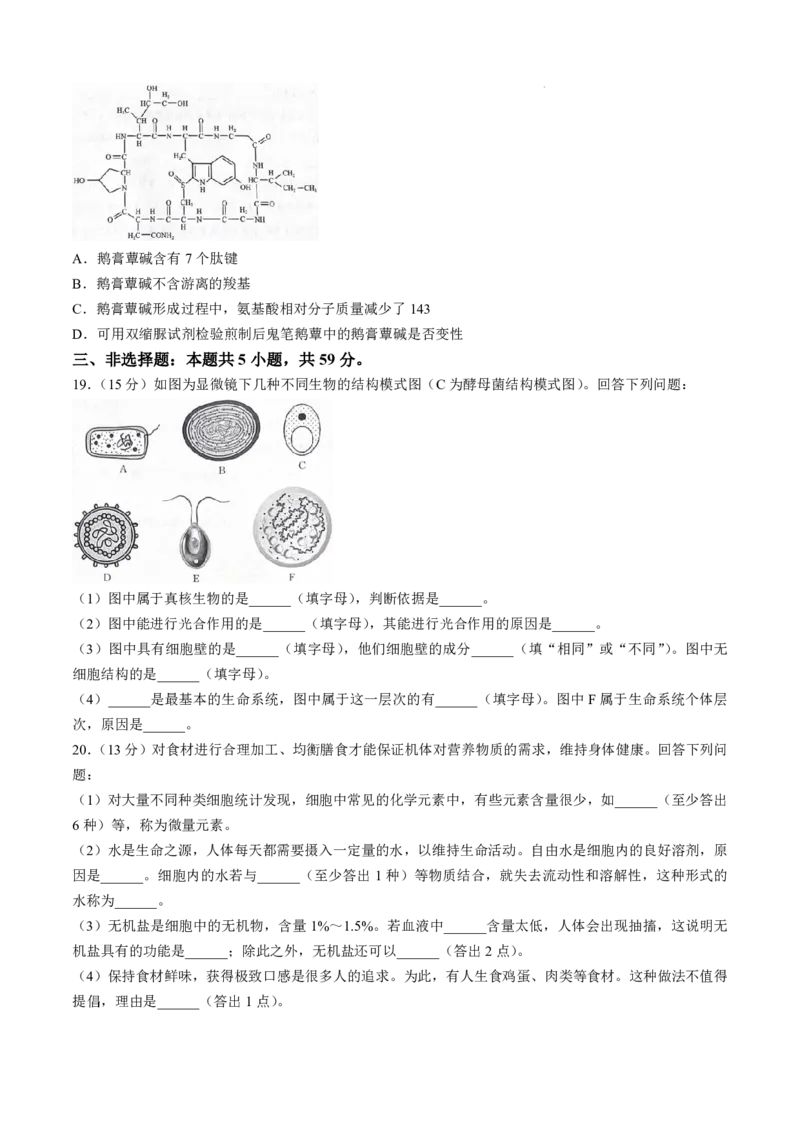 生物-河南青桐鸣2024-2025学年高一上学期10月联考_2024-2025高一（7-7月题库）_2024年10月试卷_1019河南青桐鸣2024-2025学年高一上学期10月联考