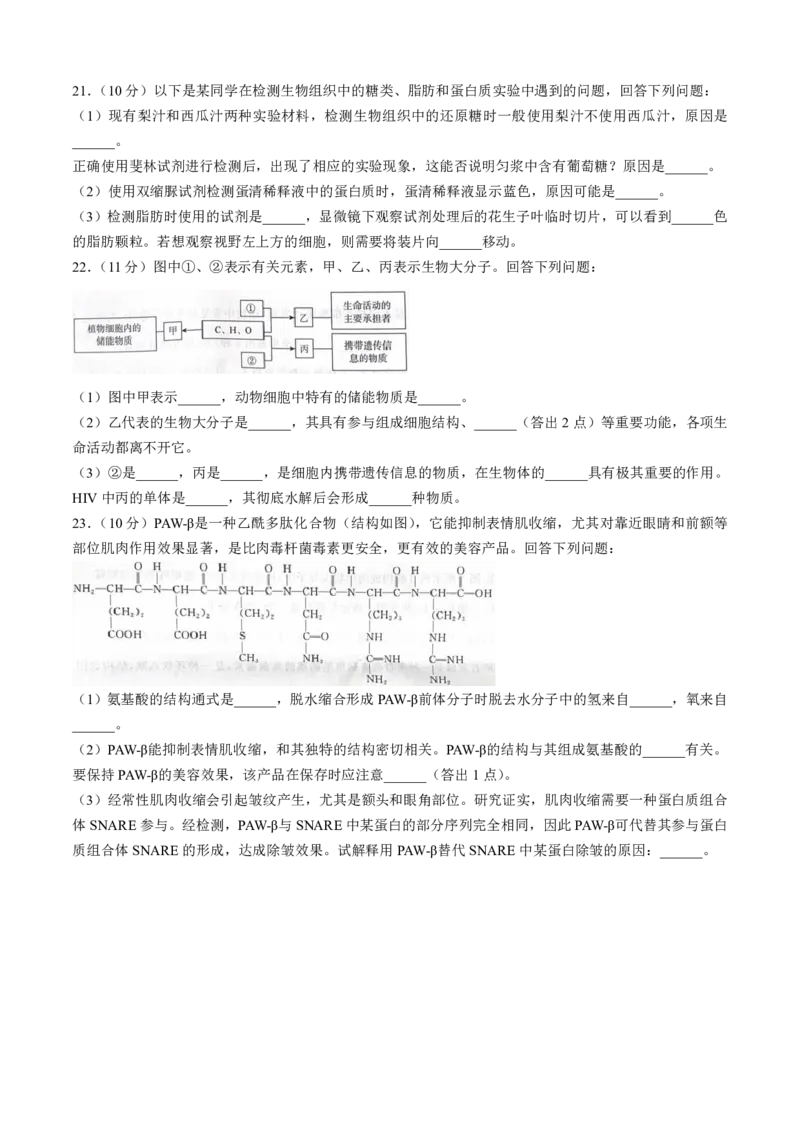 生物-河南青桐鸣2024-2025学年高一上学期10月联考_2024-2025高一（7-7月题库）_2024年10月试卷_1019河南青桐鸣2024-2025学年高一上学期10月联考