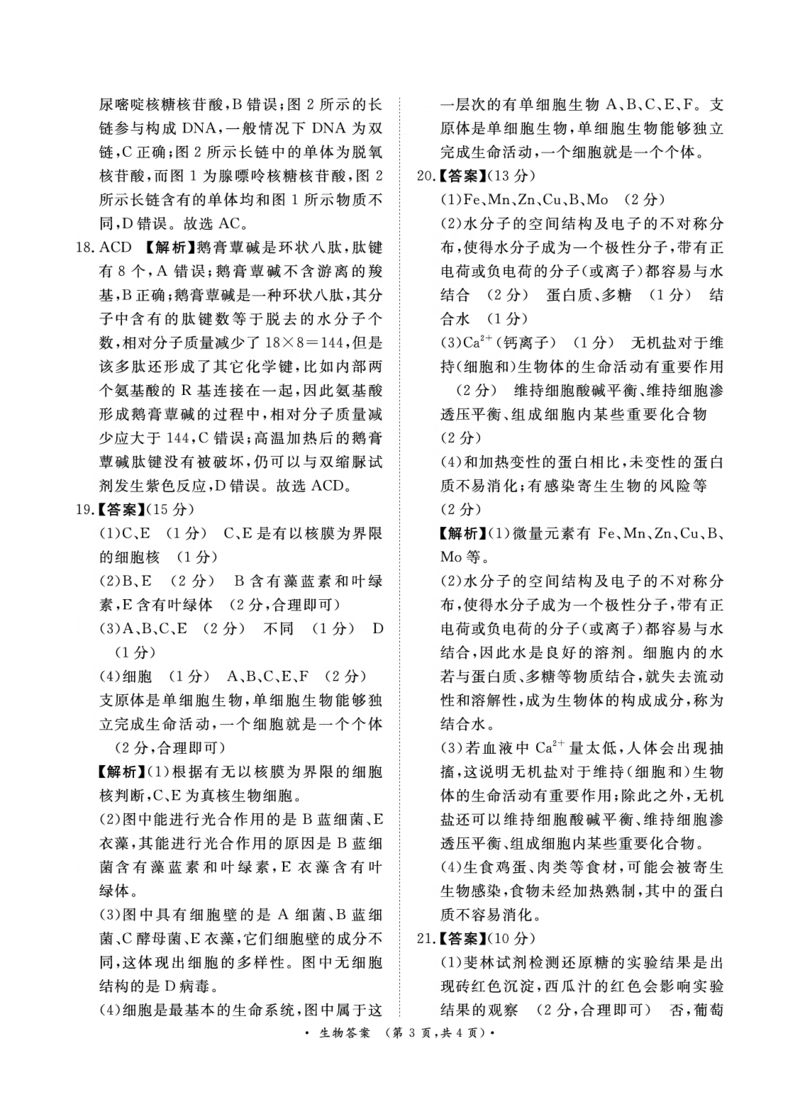 生物-河南青桐鸣2024-2025学年高一上学期10月联考_2024-2025高一（7-7月题库）_2024年10月试卷_1019河南青桐鸣2024-2025学年高一上学期10月联考