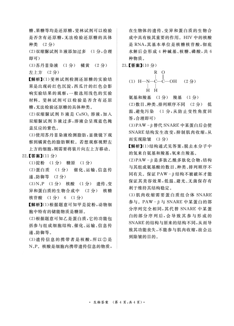 生物-河南青桐鸣2024-2025学年高一上学期10月联考_2024-2025高一（7-7月题库）_2024年10月试卷_1019河南青桐鸣2024-2025学年高一上学期10月联考