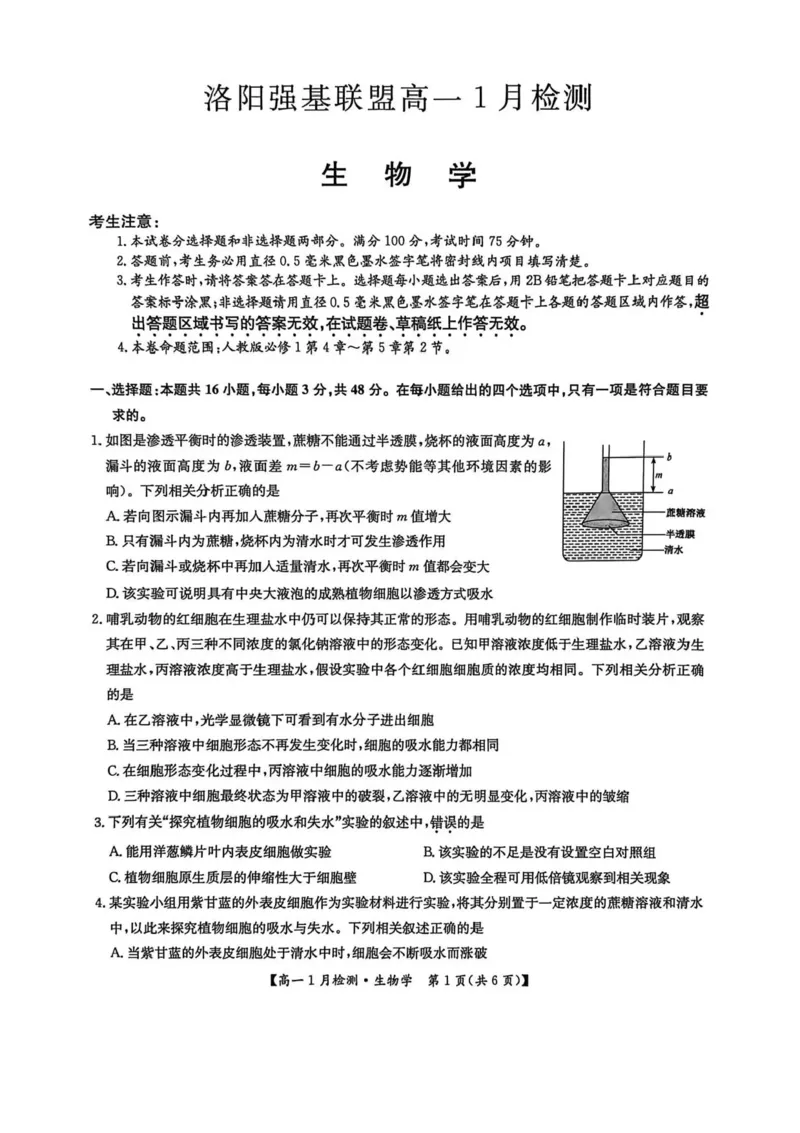 河南省洛阳市强基联盟2025-2026学年高一上学期1月月考生物试题含答案_2024-2025高一（7-7月题库）_2026年1月高一_260108河南省洛阳市强基联盟2025-2026学年高一上学期1月检测（全）