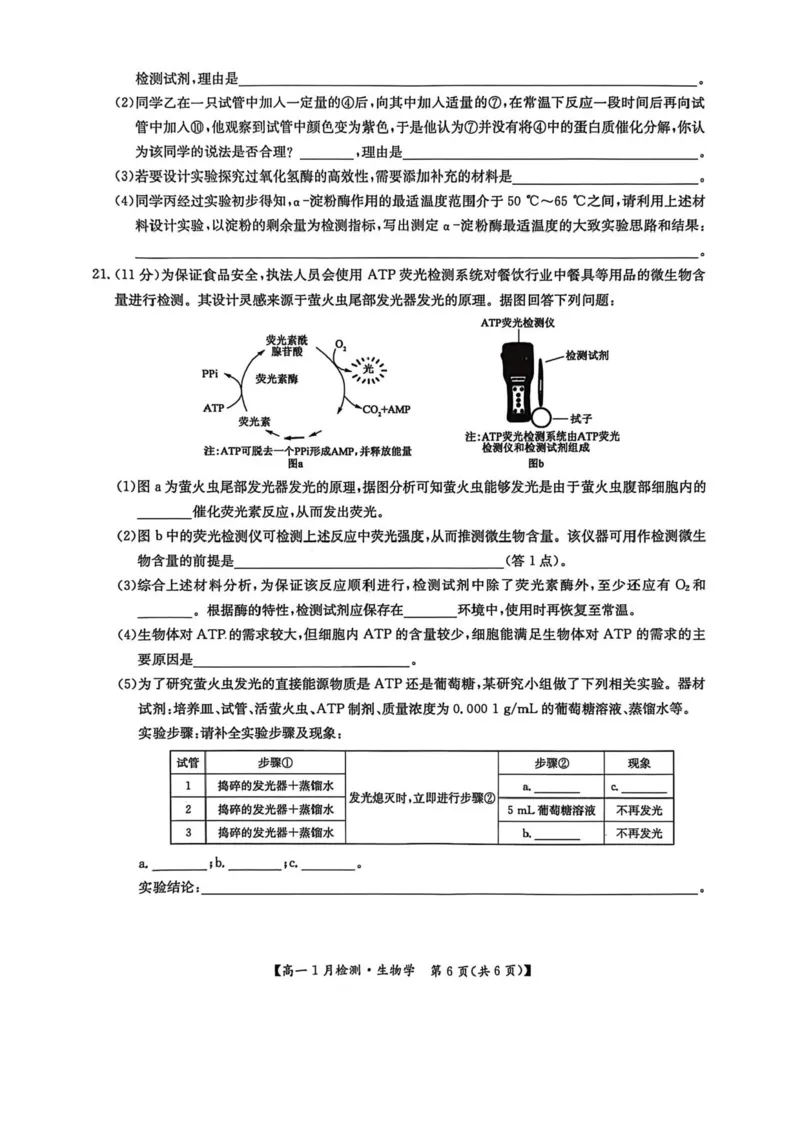 河南省洛阳市强基联盟2025-2026学年高一上学期1月月考生物试题含答案_2024-2025高一（7-7月题库）_2026年1月高一_260108河南省洛阳市强基联盟2025-2026学年高一上学期1月检测（全）