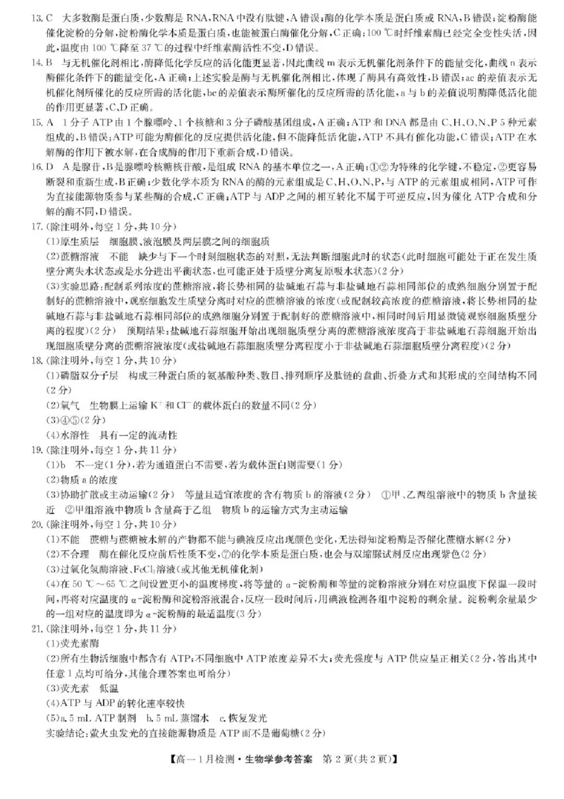 河南省洛阳市强基联盟2025-2026学年高一上学期1月月考生物试题含答案_2024-2025高一（7-7月题库）_2026年1月高一_260108河南省洛阳市强基联盟2025-2026学年高一上学期1月检测（全）