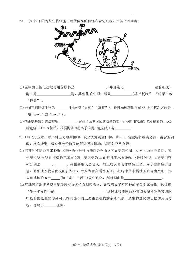 贵州省贵阳市等2地2023-2024学年高一下学期7月期末生物试题_2024-2025高一（7-7月题库）_2024年8月试卷_0811贵州省黔东南州(贵阳市等2地)2023-2024学年高一下学期7月期末考试