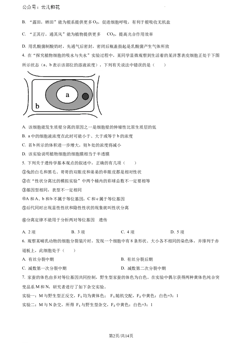 河南省驻马店市2023-2024学年高一下学期期末考试生物试题_2024-2025高一（7-7月题库）_2024年8月试卷_0813河南省驻马店市2023-2024学年高一下学期期末考试