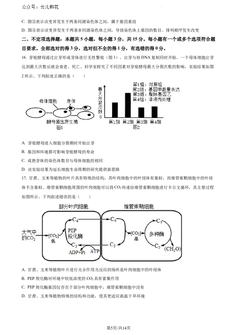 河南省驻马店市2023-2024学年高一下学期期末考试生物试题_2024-2025高一（7-7月题库）_2024年8月试卷_0813河南省驻马店市2023-2024学年高一下学期期末考试