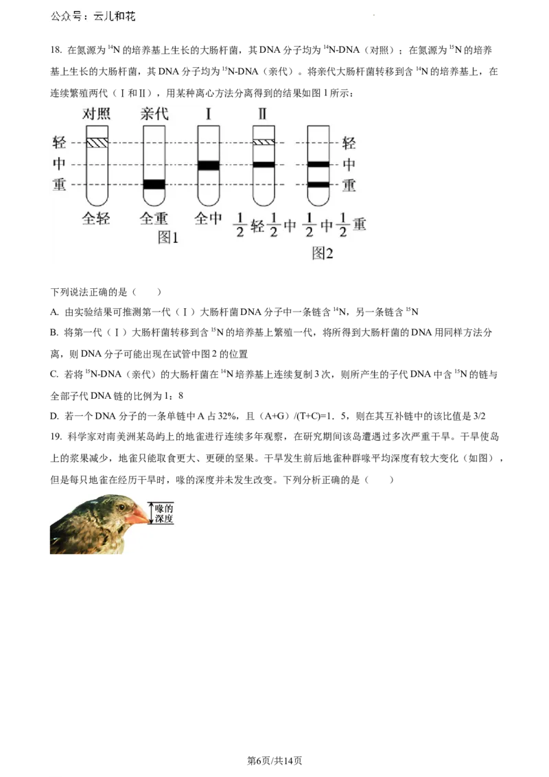 河南省驻马店市2023-2024学年高一下学期期末考试生物试题_2024-2025高一（7-7月题库）_2024年8月试卷_0813河南省驻马店市2023-2024学年高一下学期期末考试