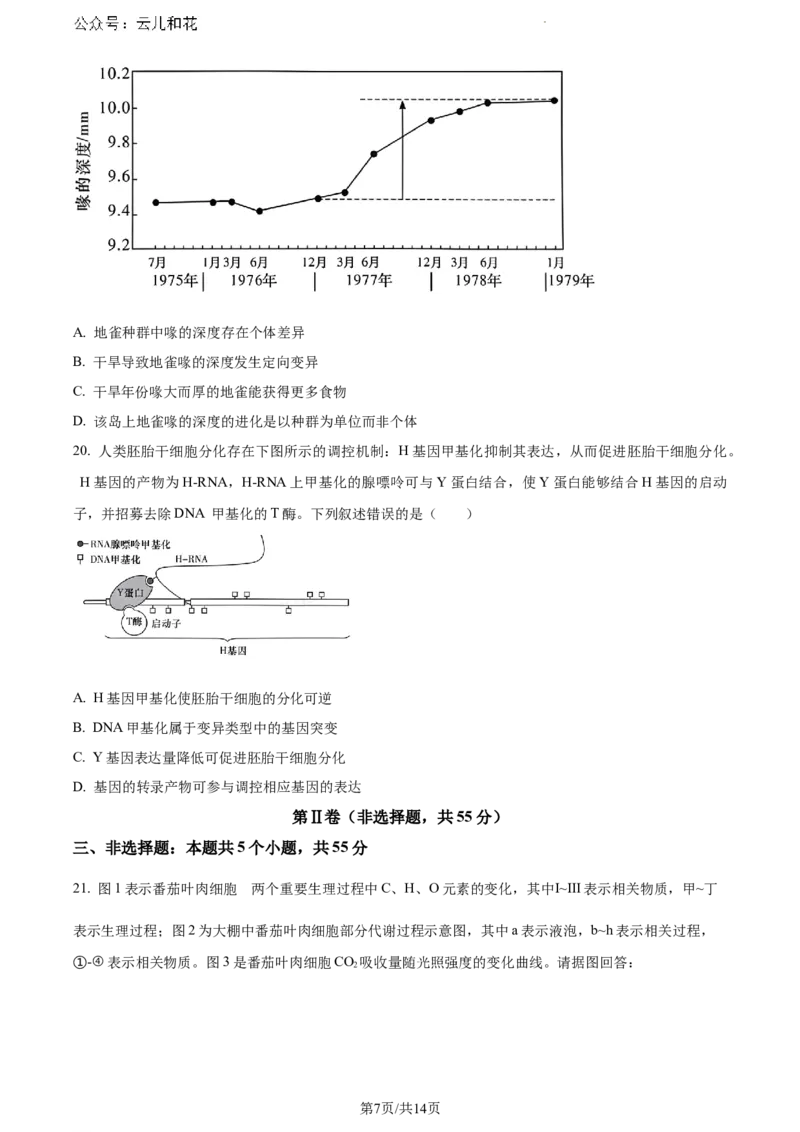 河南省驻马店市2023-2024学年高一下学期期末考试生物试题_2024-2025高一（7-7月题库）_2024年8月试卷_0813河南省驻马店市2023-2024学年高一下学期期末考试