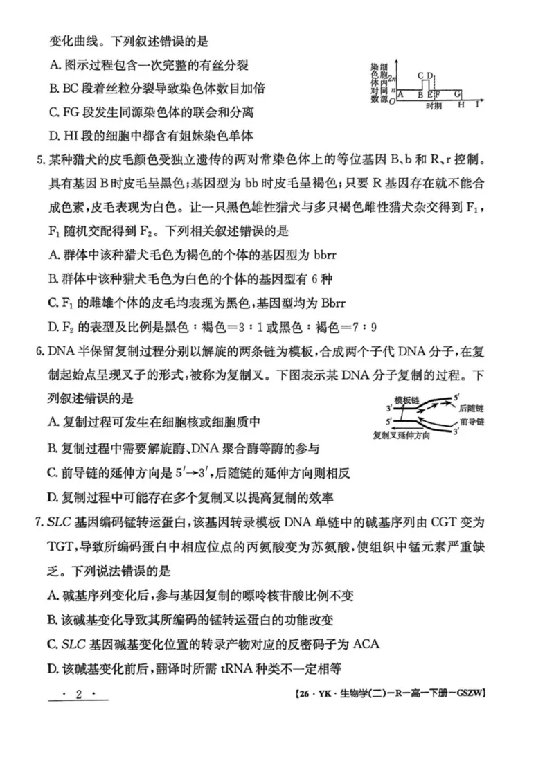 甘肃省白银市实验中学2024-2025学年高一下学期期末考试模拟生物试卷(图片版含答案)_2024-2025高一（7-7月题库）_2025年7月