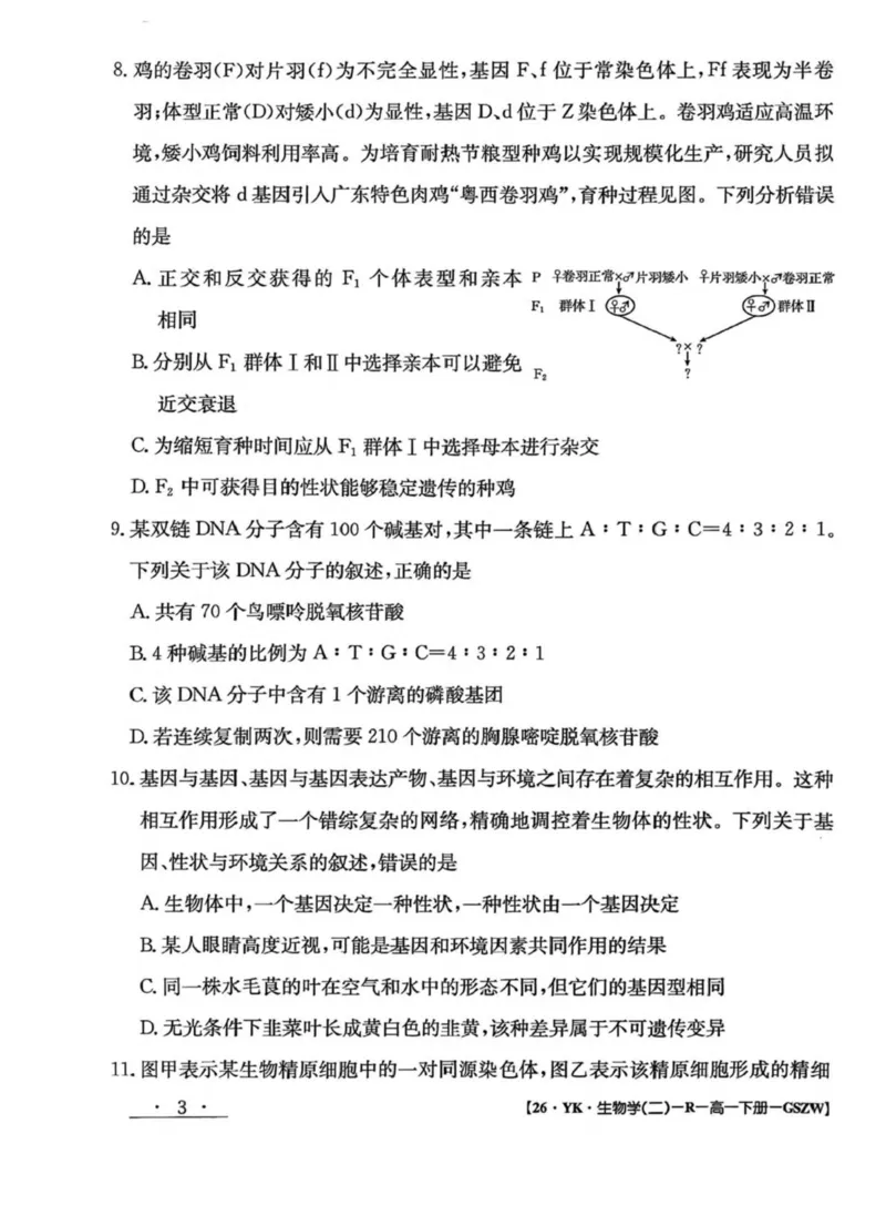 甘肃省白银市实验中学2024-2025学年高一下学期期末考试模拟生物试卷(图片版含答案)_2024-2025高一（7-7月题库）_2025年7月