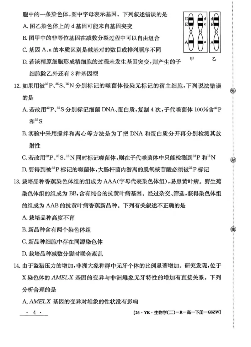 甘肃省白银市实验中学2024-2025学年高一下学期期末考试模拟生物试卷(图片版含答案)_2024-2025高一（7-7月题库）_2025年7月