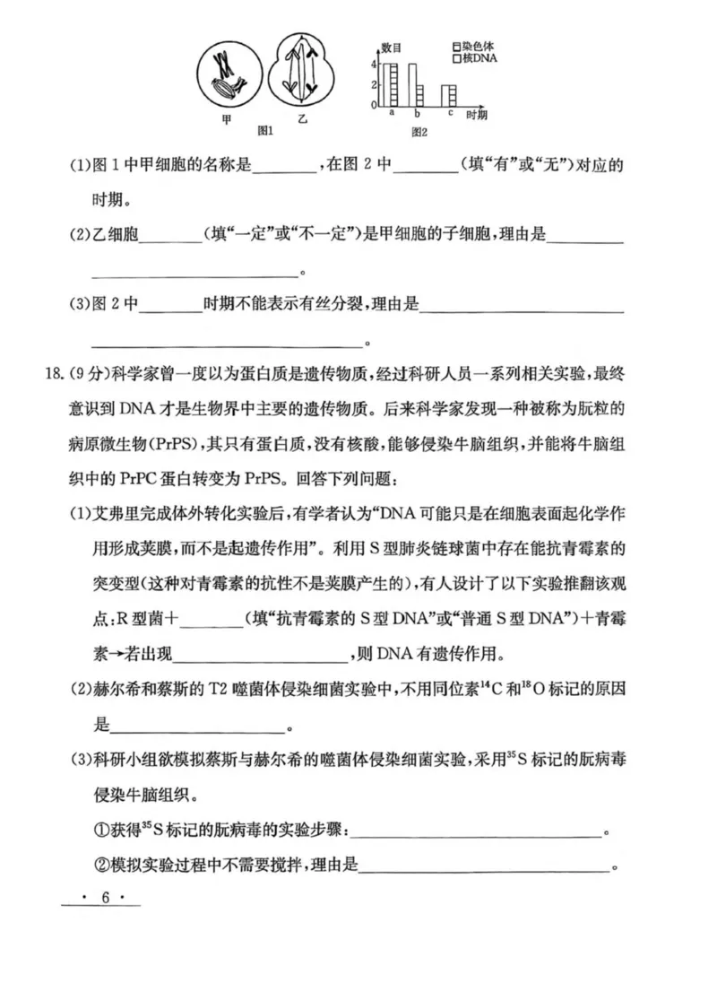 甘肃省白银市实验中学2024-2025学年高一下学期期末考试模拟生物试卷(图片版含答案)_2024-2025高一（7-7月题库）_2025年7月