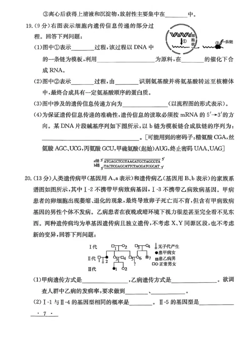 甘肃省白银市实验中学2024-2025学年高一下学期期末考试模拟生物试卷(图片版含答案)_2024-2025高一（7-7月题库）_2025年7月