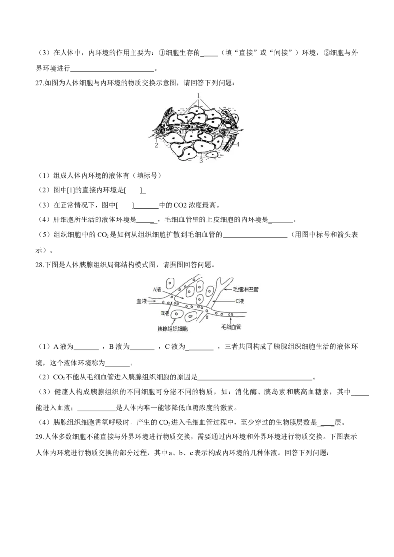 第1章人体的内环境与稳态（测试卷）-2022-2023学年高二生物章末检测卷（人教版2019选择性必修1）（原卷版）_E015高中全科试卷_生物试题_选修1_1.单元测试_1.单元测试2023年