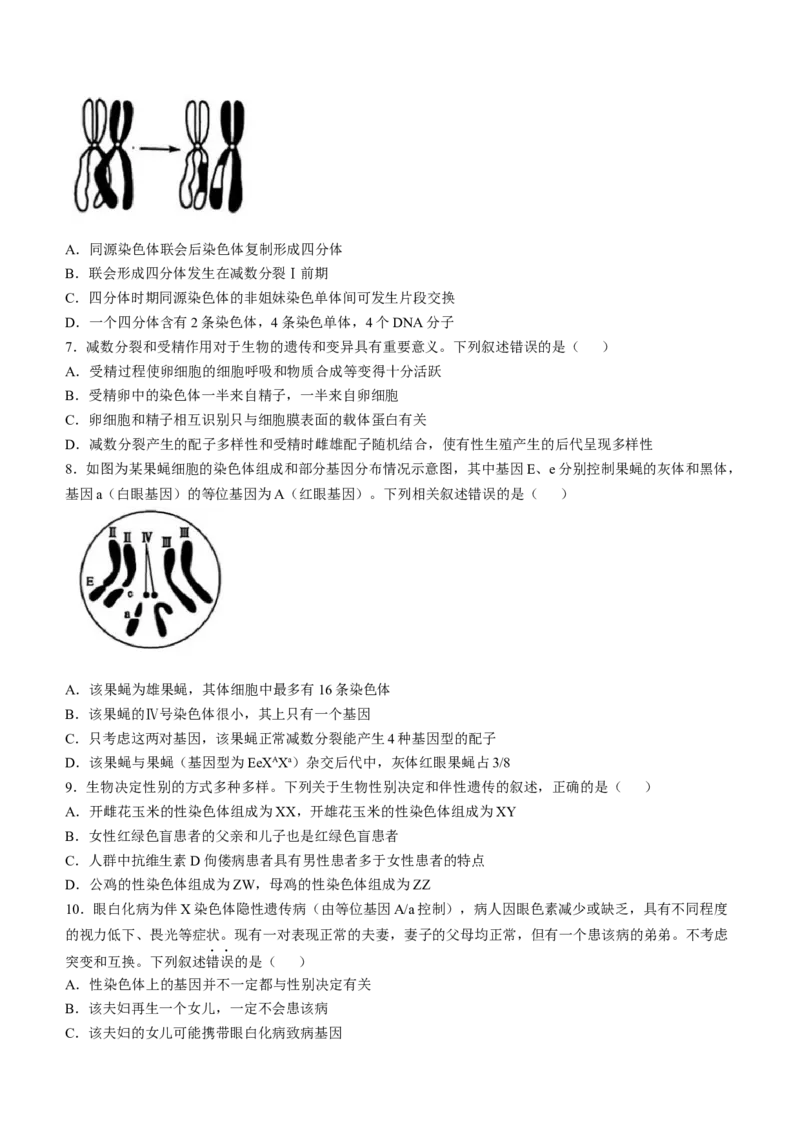 辽宁省普通高中2024-2025学年高一下学期5月期中考试生物Word版含解析_2024-2025高一（7-7月题库）_2025年6月7.10新增_0609辽宁省普通高中2024-2025学年高一下学期5月期中考试