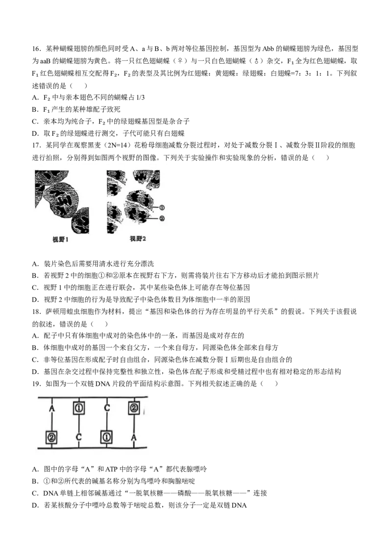 辽宁省普通高中2024-2025学年高一下学期5月期中考试生物Word版含解析_2024-2025高一（7-7月题库）_2025年6月7.10新增_0609辽宁省普通高中2024-2025学年高一下学期5月期中考试
