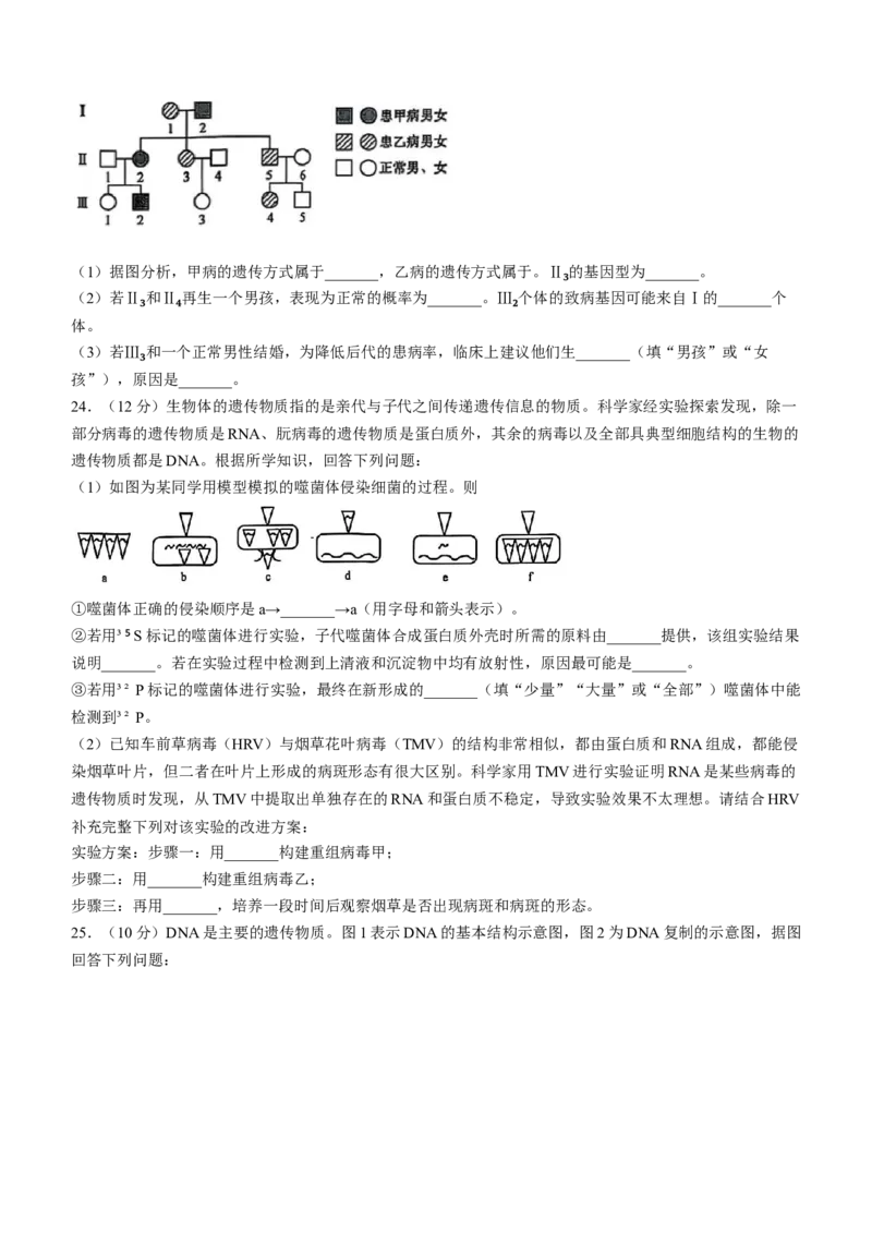 辽宁省普通高中2024-2025学年高一下学期5月期中考试生物Word版含解析_2024-2025高一（7-7月题库）_2025年6月7.10新增_0609辽宁省普通高中2024-2025学年高一下学期5月期中考试