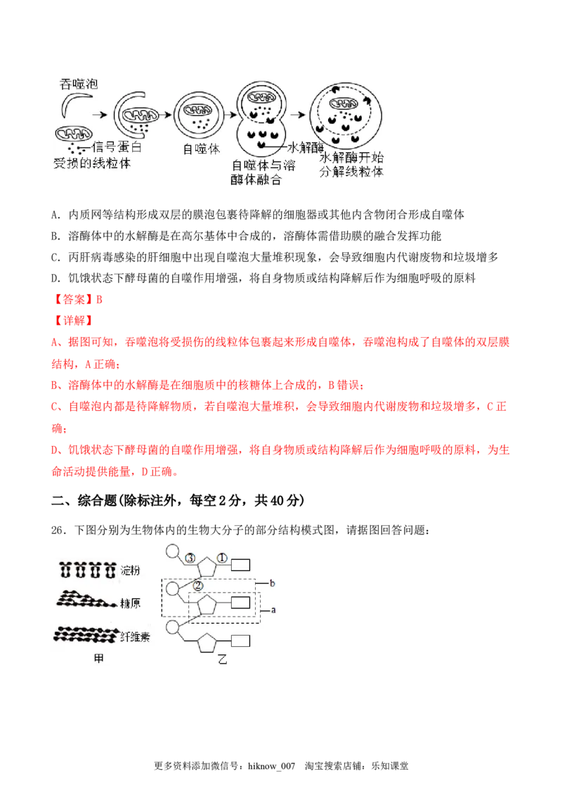 综合拉练卷03（解析版）_E015高中全科试卷_生物试题_必修1_4.期末试卷_1.模拟题_综合拉练卷03-2022-2023学年上学期高一生物期末考试综合拉练卷（人教版2019必修1）