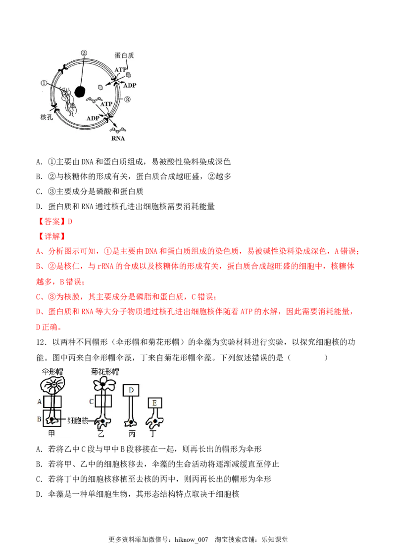 综合拉练卷03（解析版）_E015高中全科试卷_生物试题_必修1_4.期末试卷_1.模拟题_综合拉练卷03-2022-2023学年上学期高一生物期末考试综合拉练卷（人教版2019必修1）